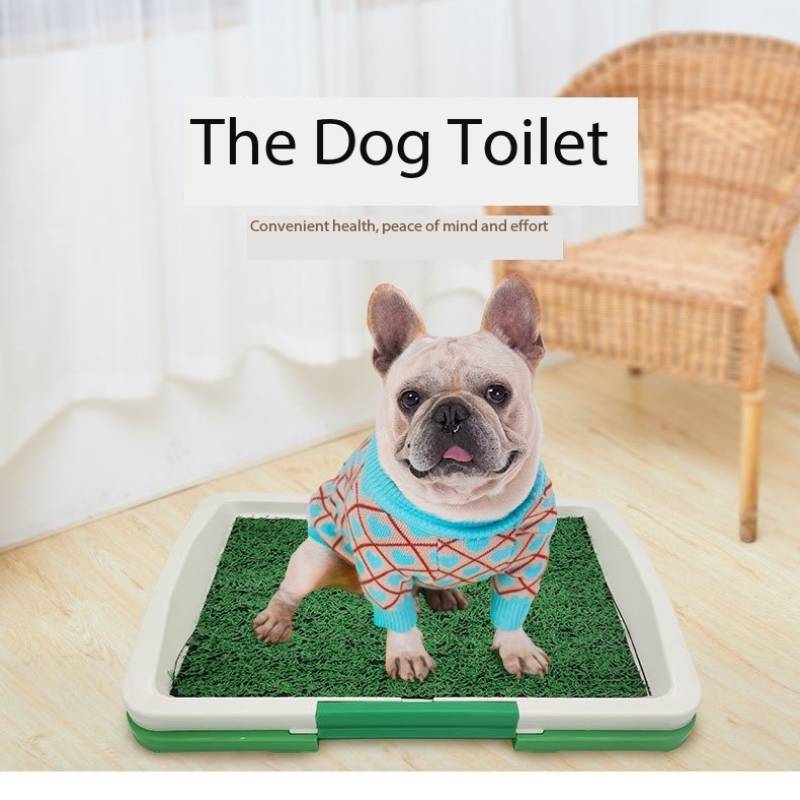 Indoor dog training tray and pet toilet