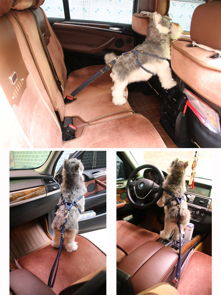 Retractable safety leash for pets in vehicles