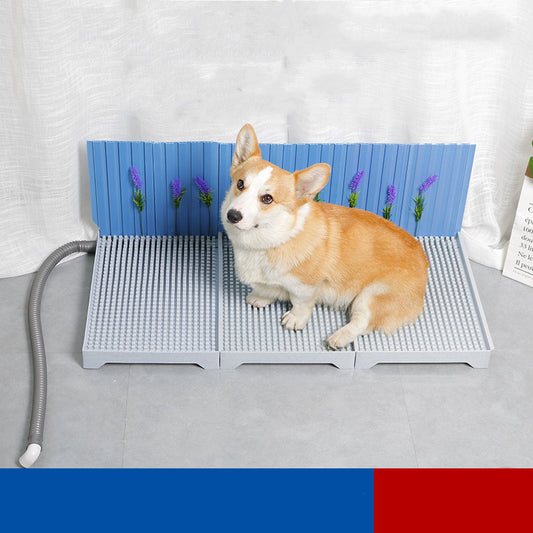 Innovative pet urinal with wall