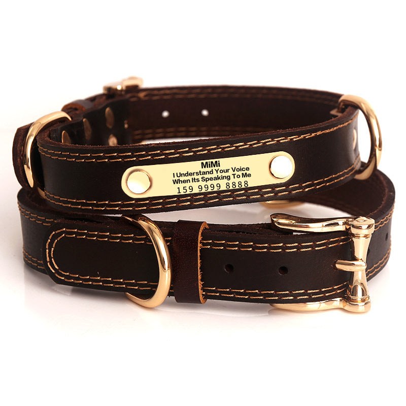 Leather collar with engraved pet nameplate